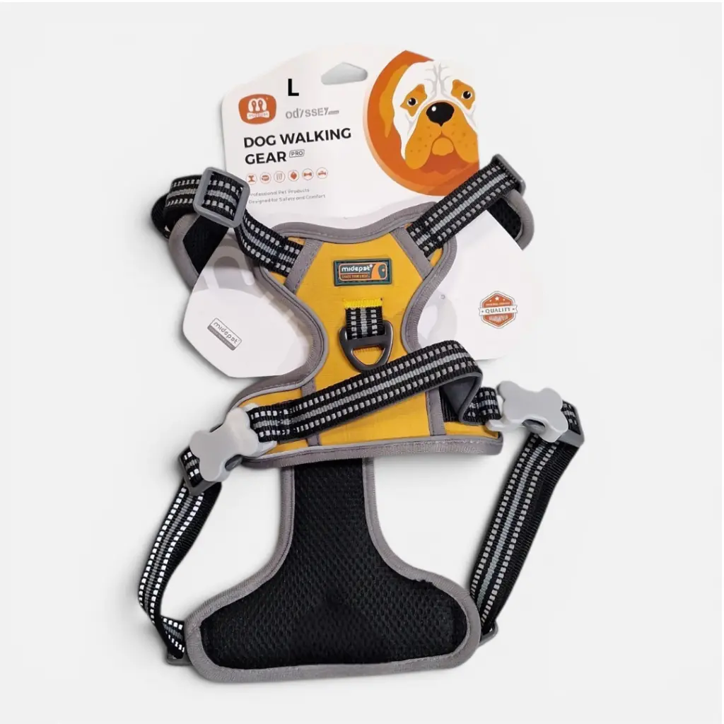 1.webp