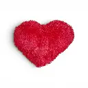 IMG_8587103869036171080.webp